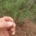 山货药材