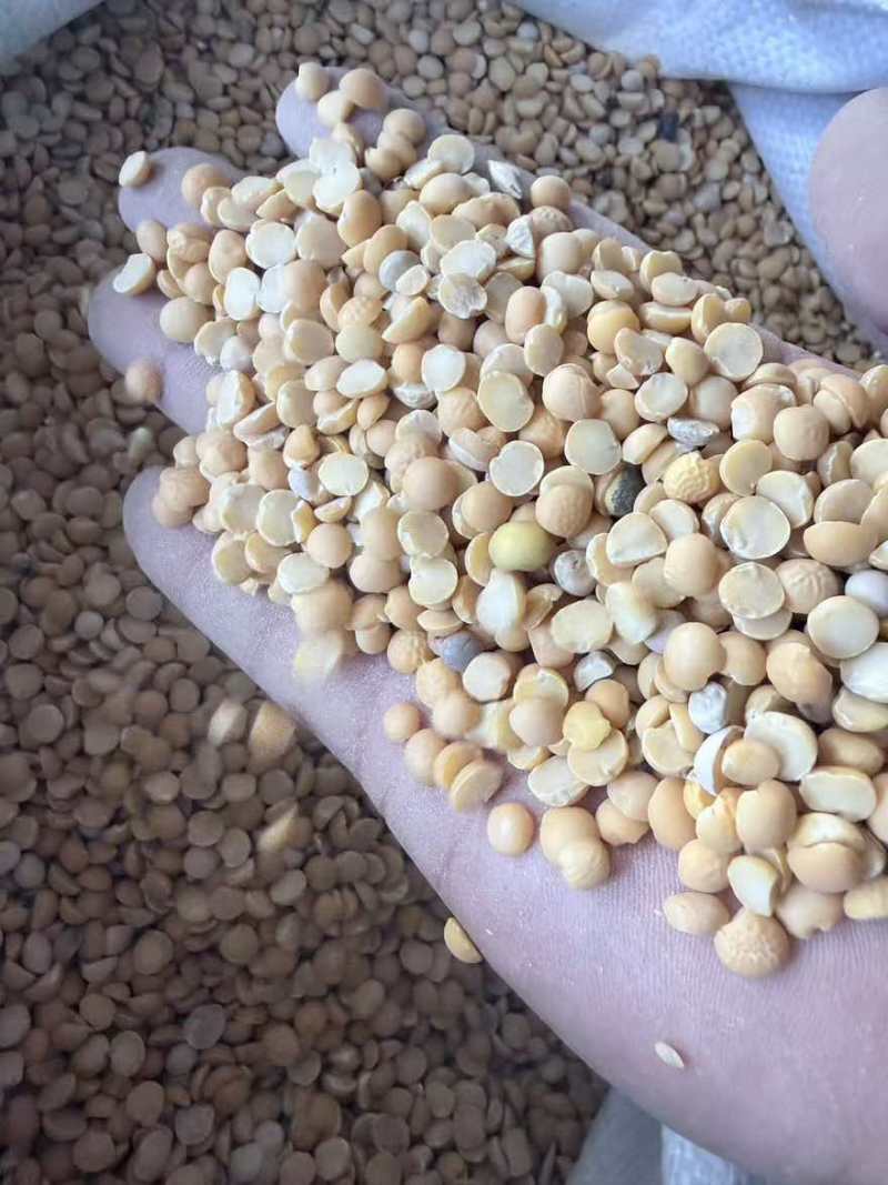 精品碎豆瓣，价格实惠品质高，适合水产养殖牲畜养殖，种地施肥。