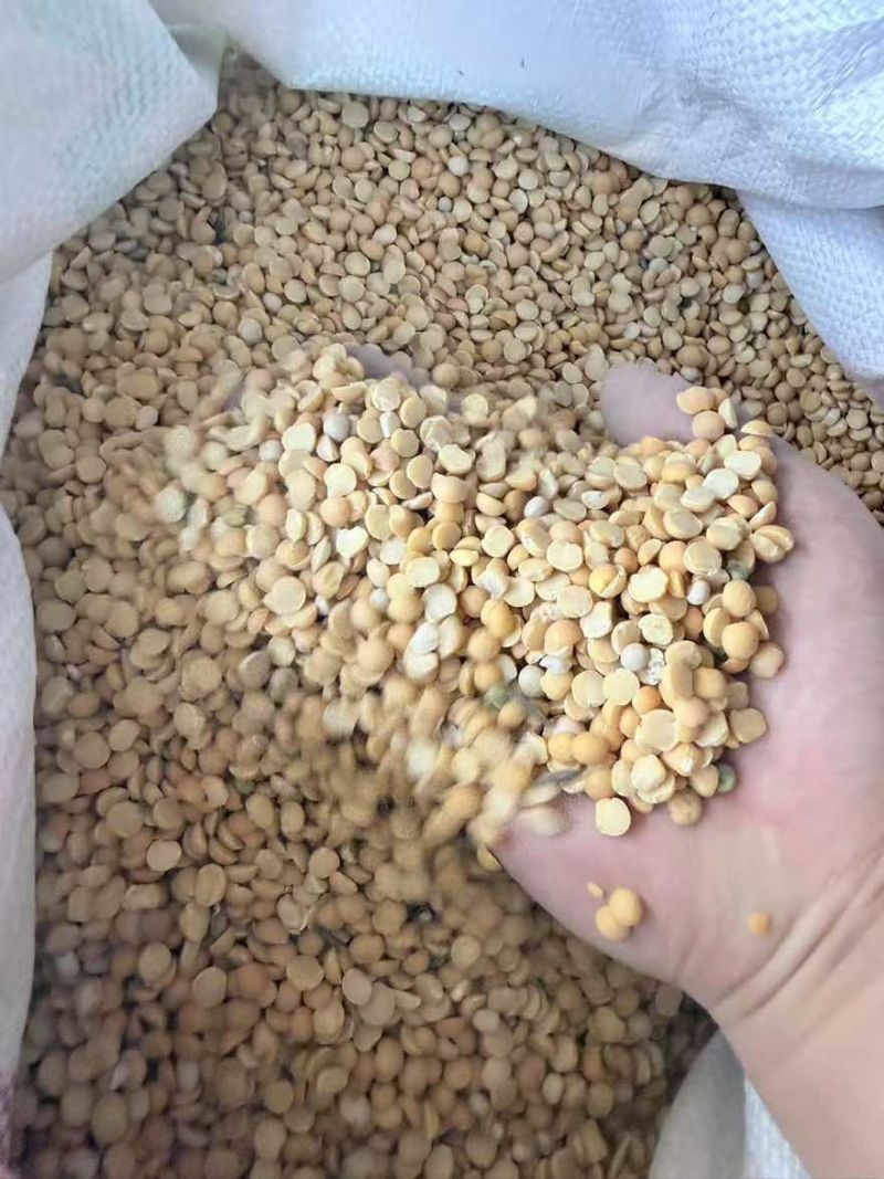 精品碎豆瓣，价格实惠品质高，适合水产养殖牲畜养殖，种地施肥。