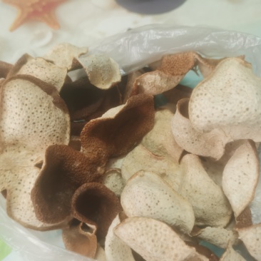 广西陈皮