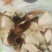 广西陈皮