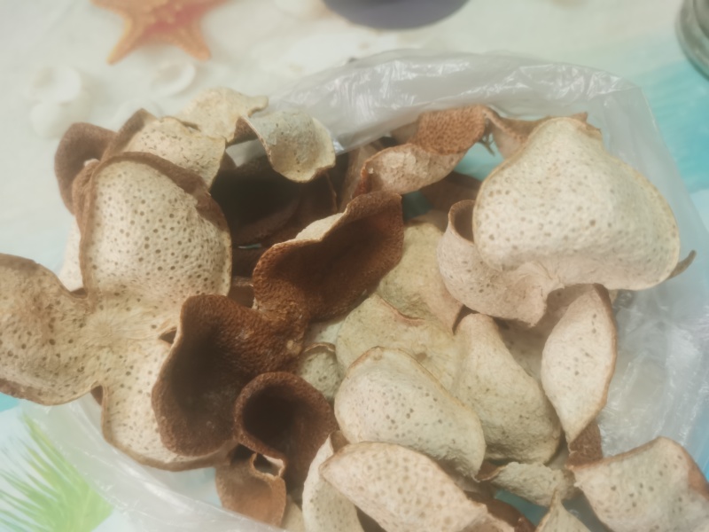 广西陈皮