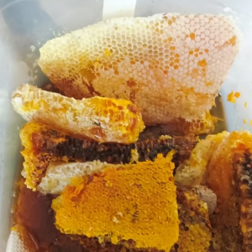 ***野生蜂蜜