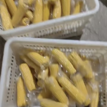 甜玉米