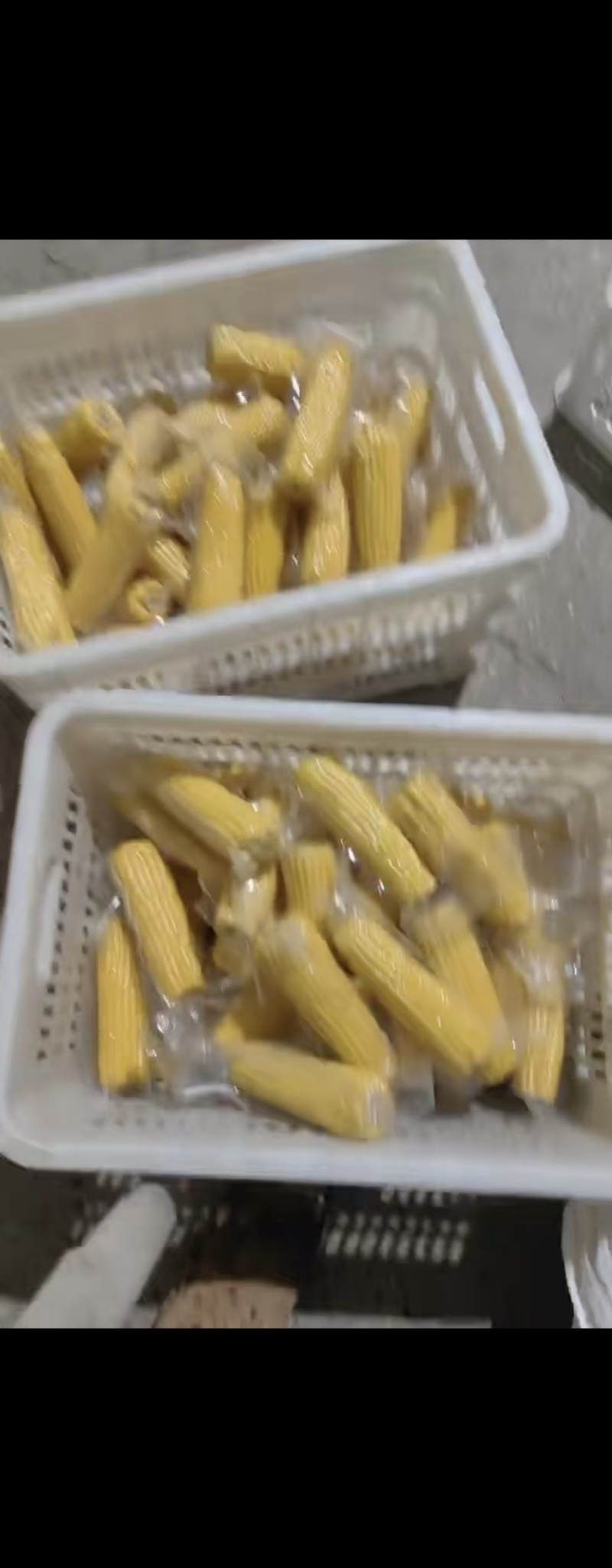 甜玉米