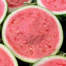 原产地西瓜长期供应量大从优