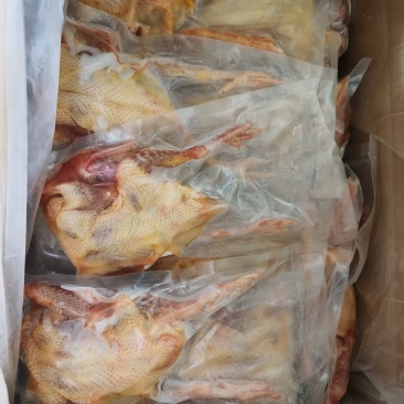 厂家真空包装9量以上鸽子有货，半净膛