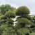 湖北省孝感应城市
