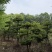 湖北省孝感应城市
