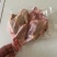 半净膛二级乳鸽6-7两9元只，4-5.5两6元只