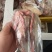 半净膛二级乳鸽6-7两9元只，4-5.5两6元只