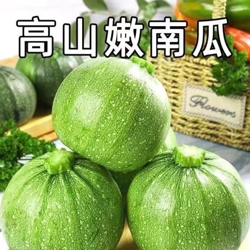 云南小圆瓜