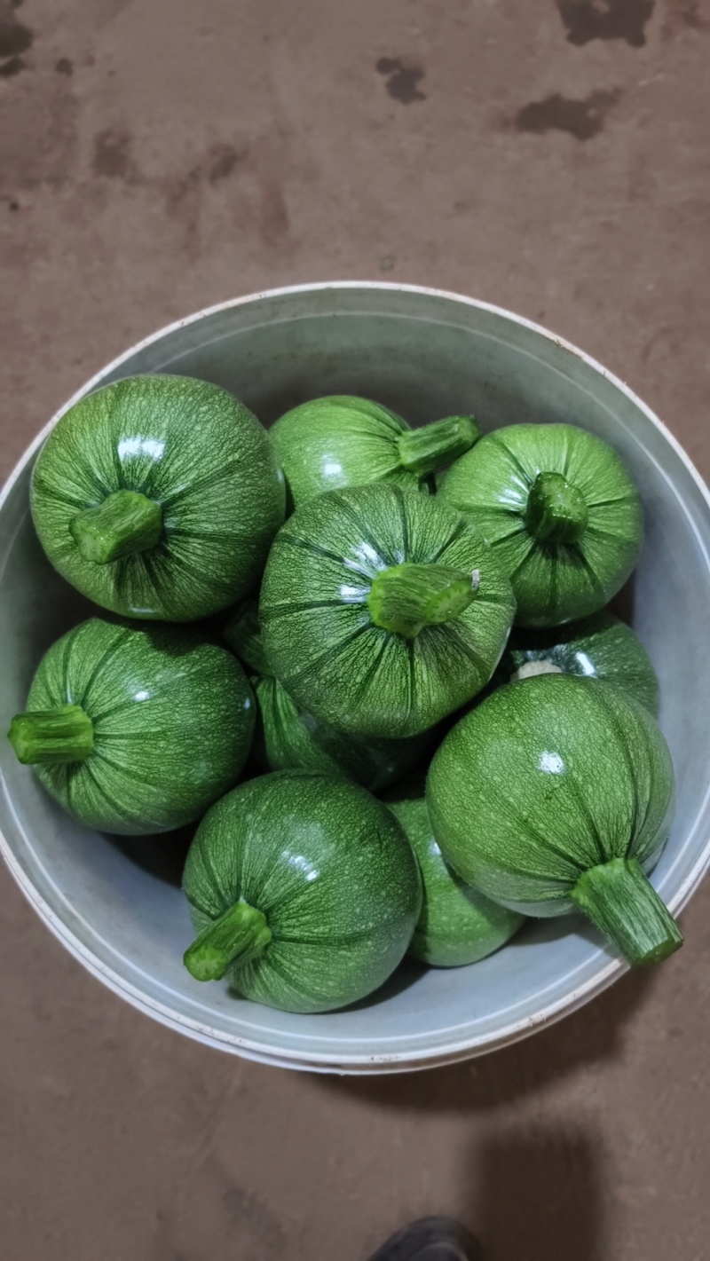 云南小圆瓜