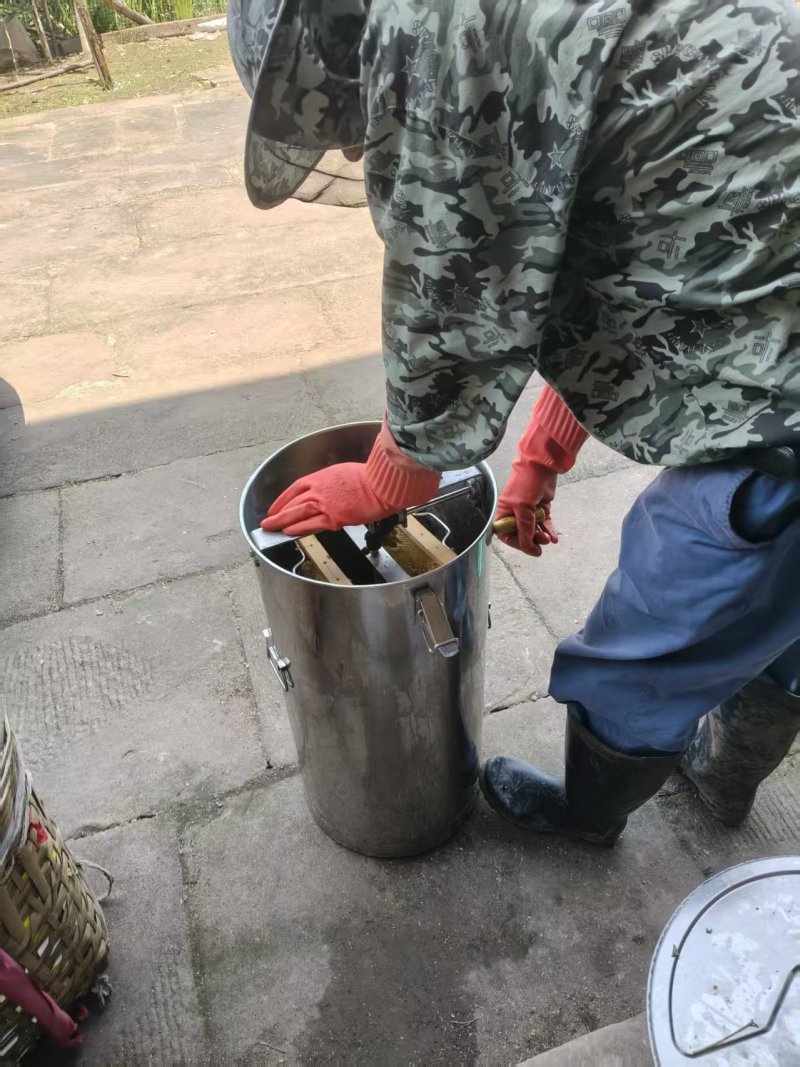 农家土蜂蜜