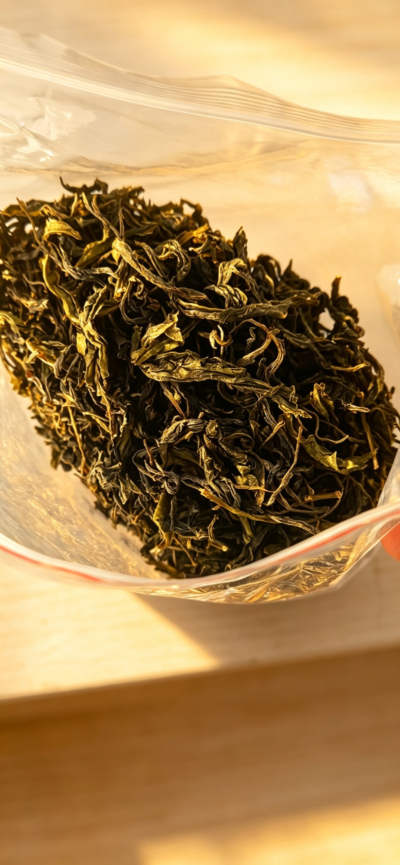 把云南的春天，泡进你的茶杯里
