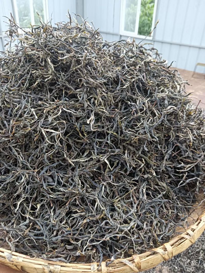 高山古树茶