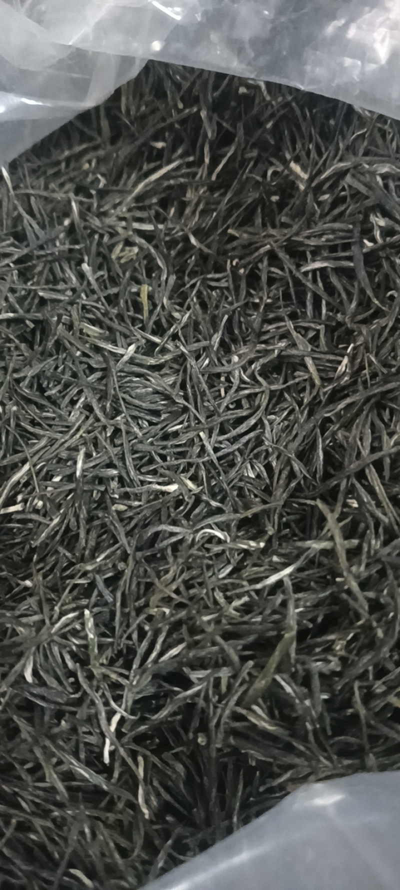 老鹰茶