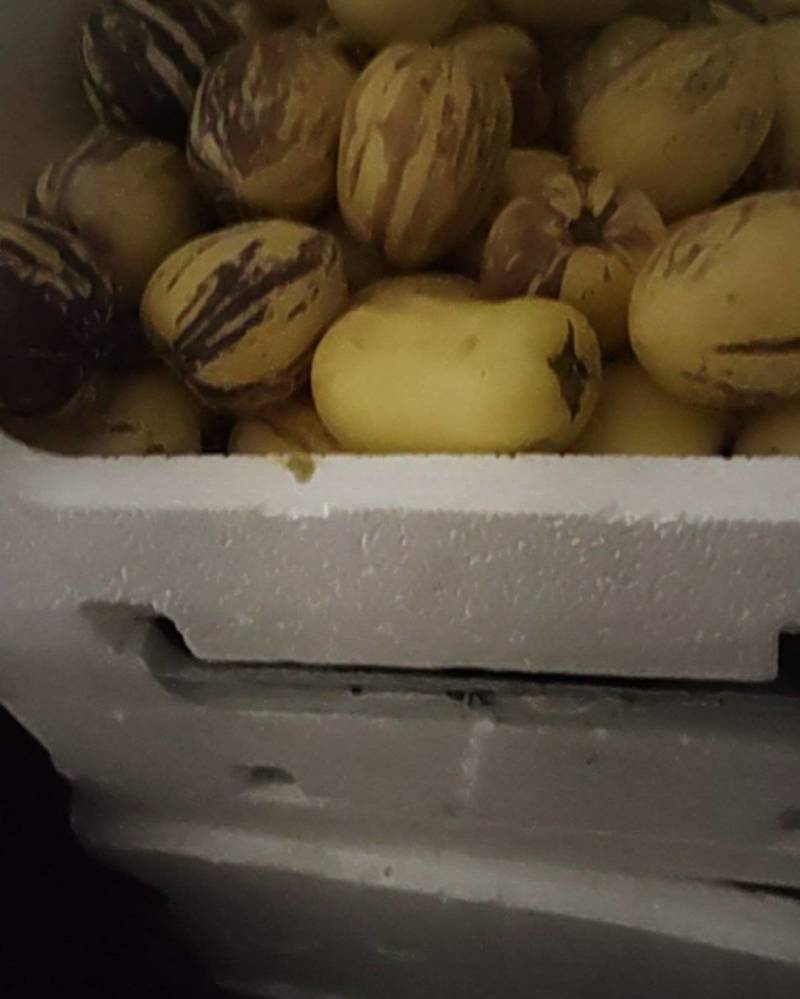 新埭人生果