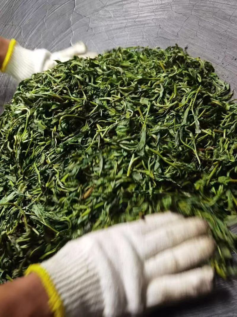 保山茶叶