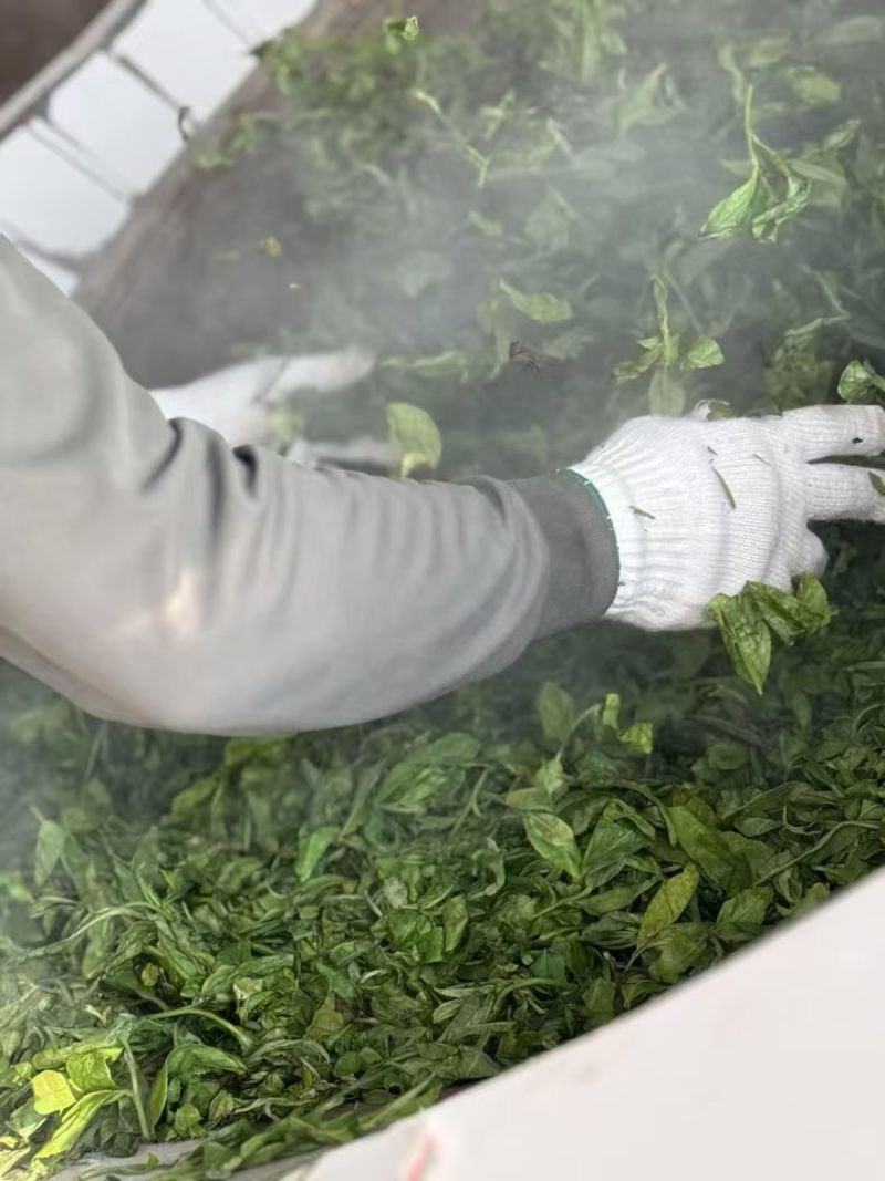 保山茶叶