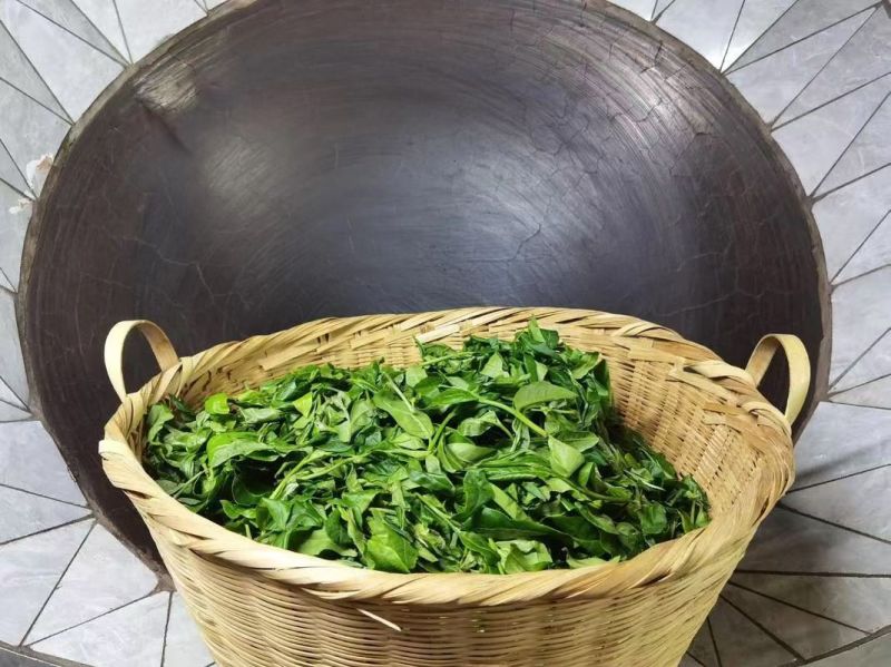 保山茶叶