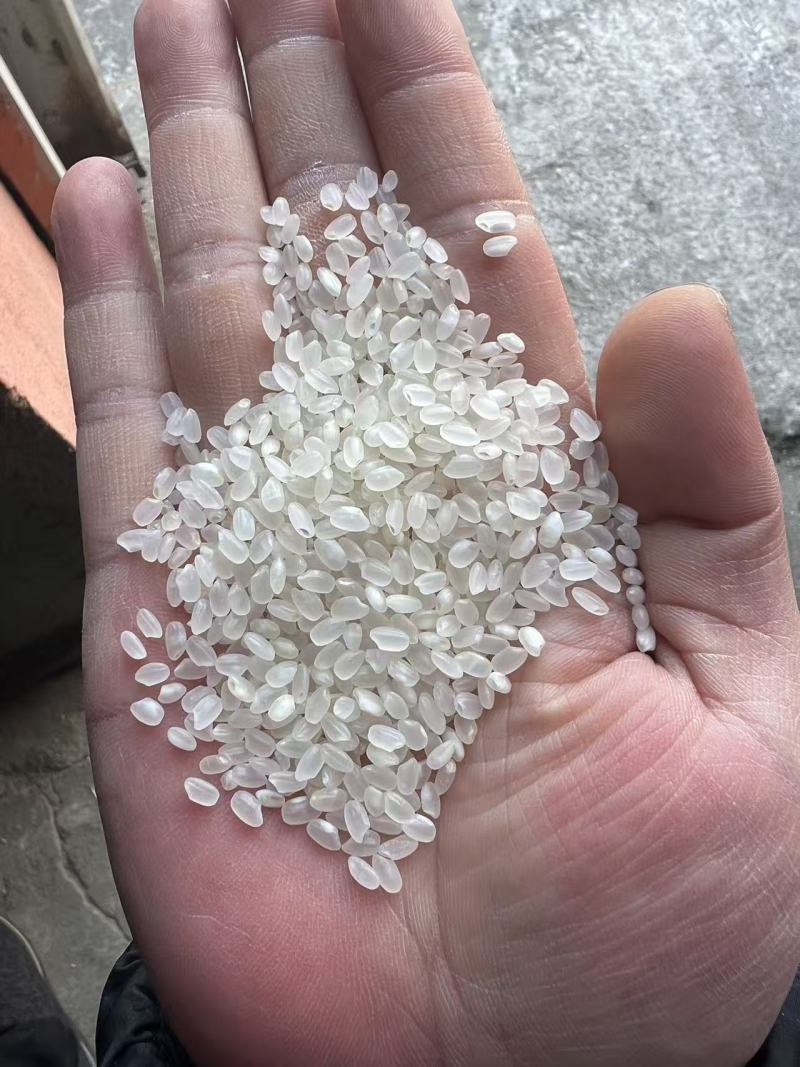 珍珠米