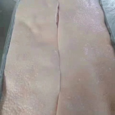猪肥膘，新货