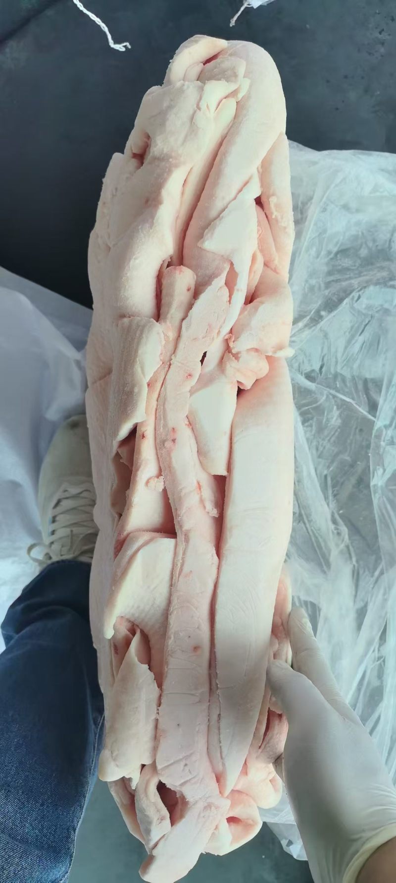 猪肥膘，新货