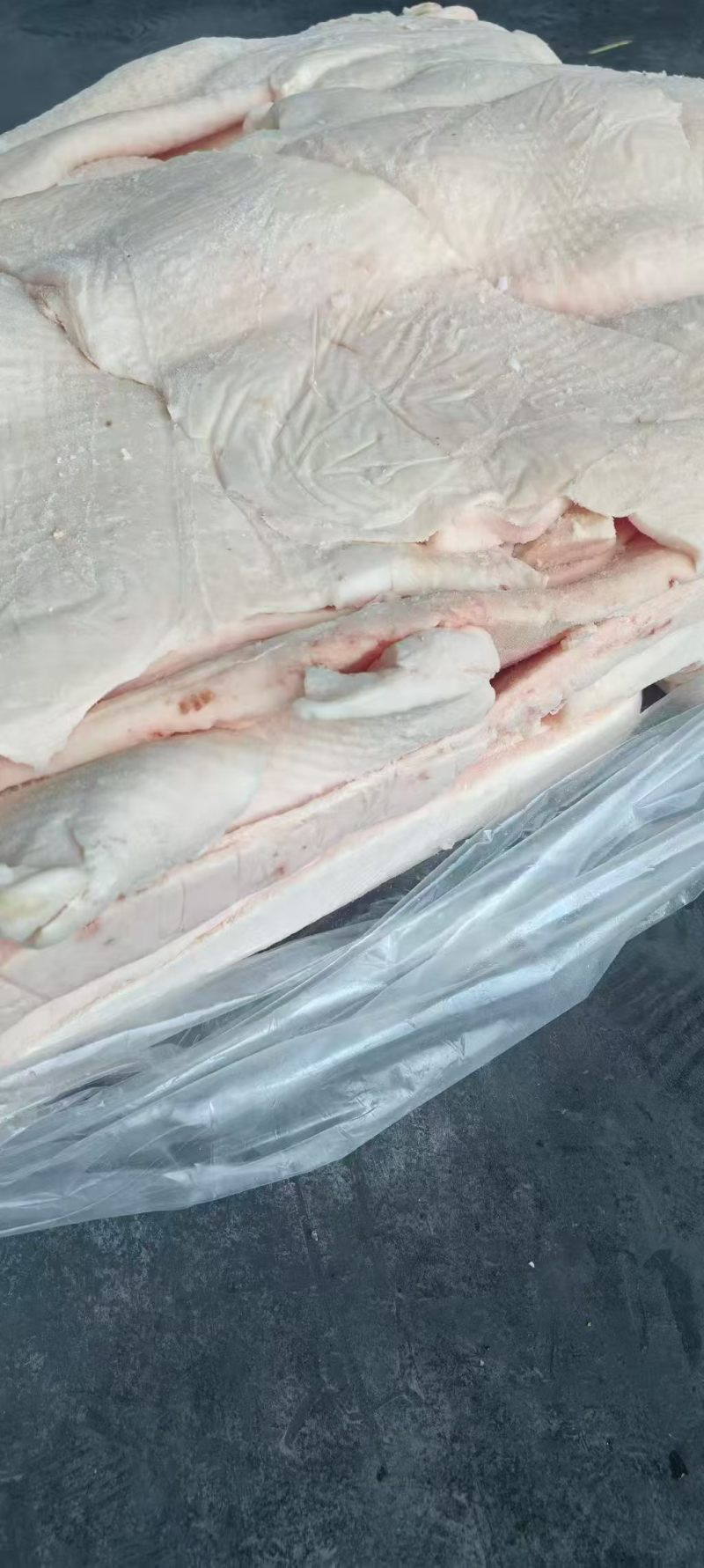 猪肥膘，新货