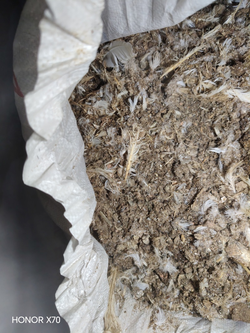 鸡粪.牛粪.羊粪.鸽子粪…