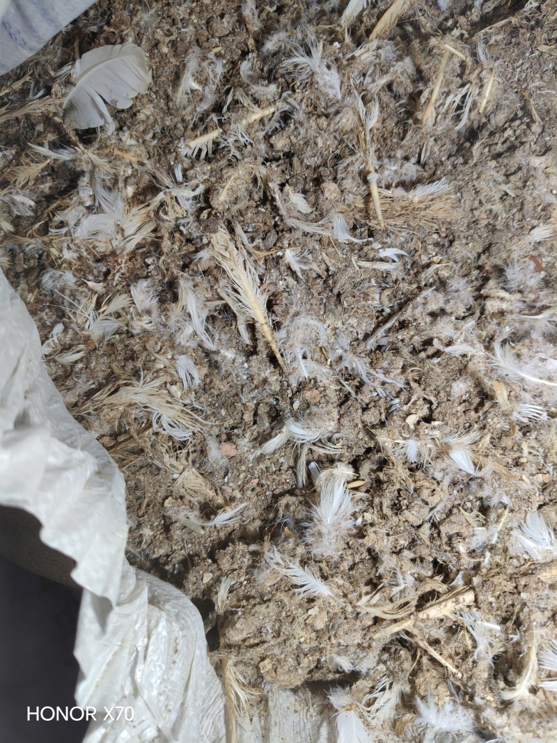 鸡粪.牛粪.羊粪.鸽子粪…