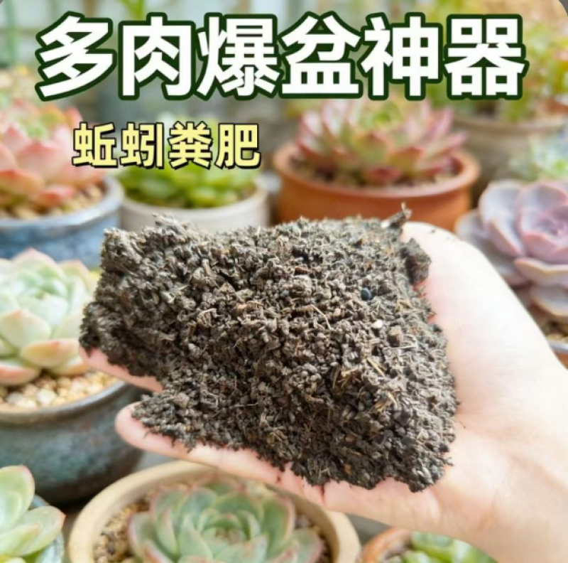 蚯蚓粪