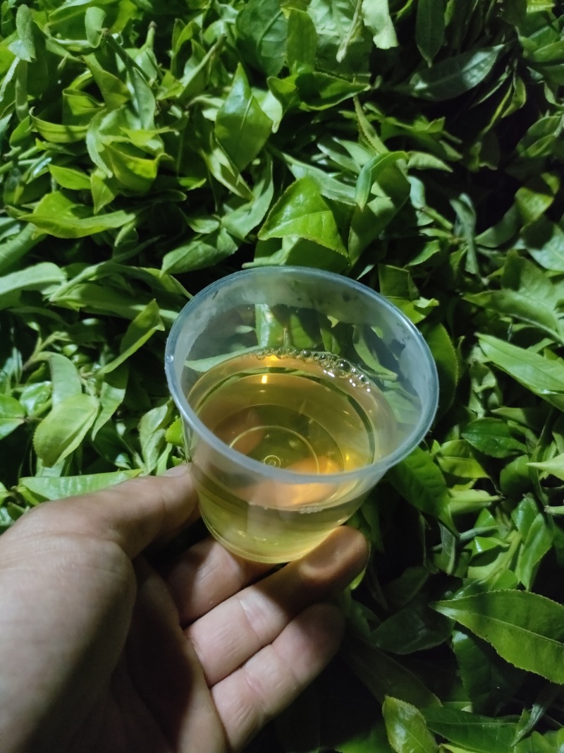 云南普洱茶