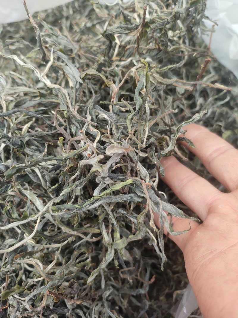 云南普洱茶