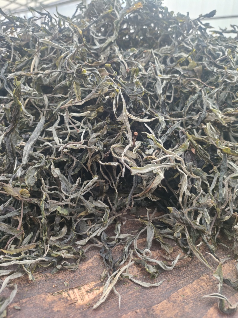 云南普洱茶