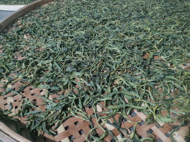 云南普洱茶