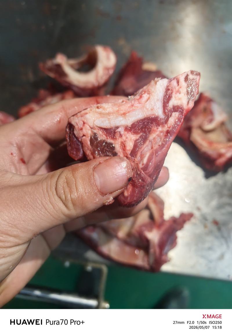 牛膀骨带脆骨含肉量％80售价10元一斤