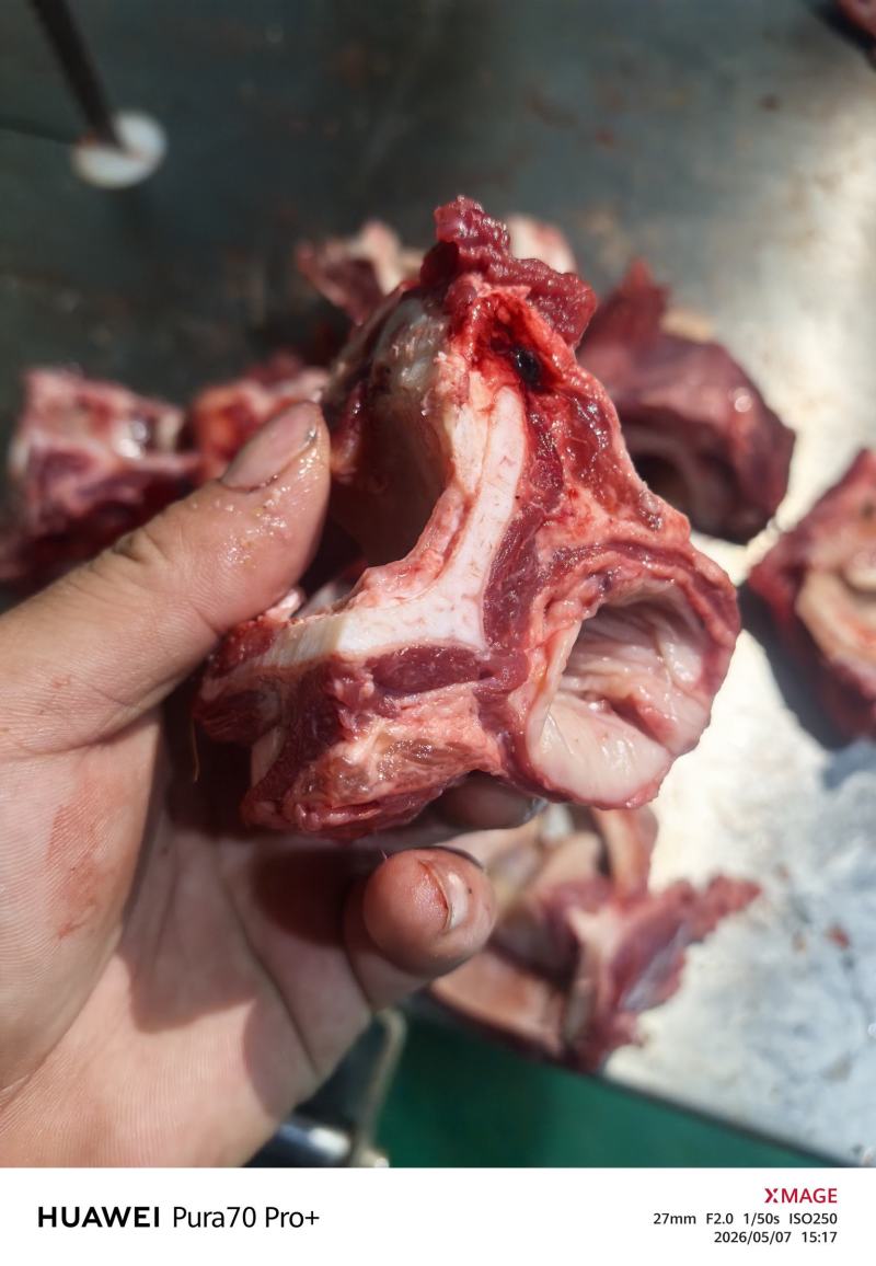 牛膀骨带脆骨含肉量％80售价10元一斤