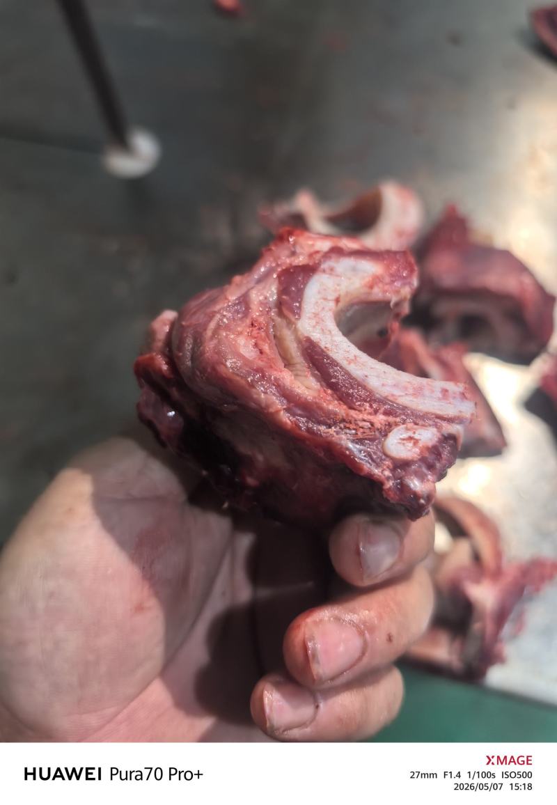 牛膀骨带脆骨含肉量％80售价10元一斤