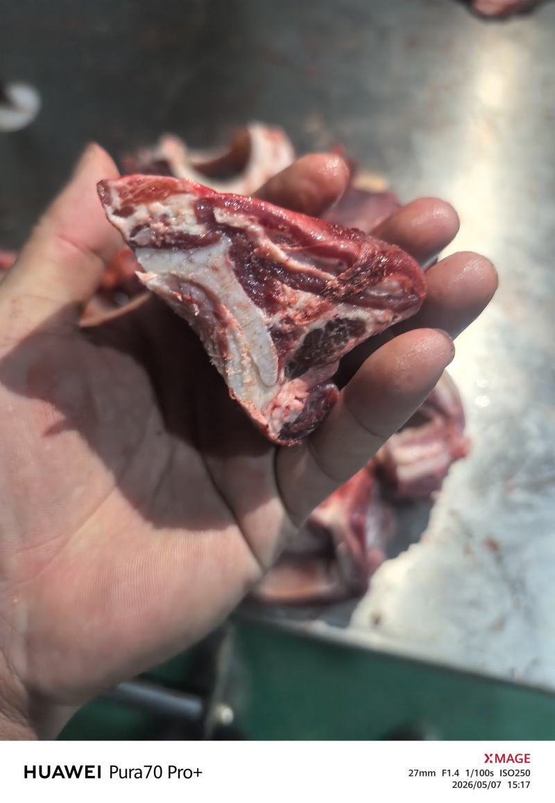 牛膀骨带脆骨含肉量％80售价10元一斤