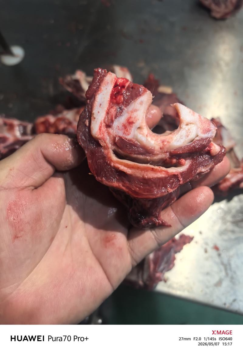 牛膀骨带脆骨含肉量％80售价10元一斤
