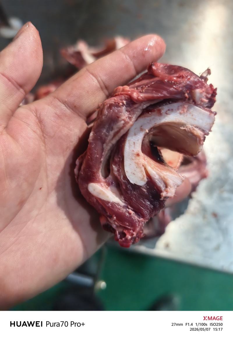 牛膀骨带脆骨含肉量％80售价10元一斤
