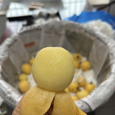 白玉枇杷