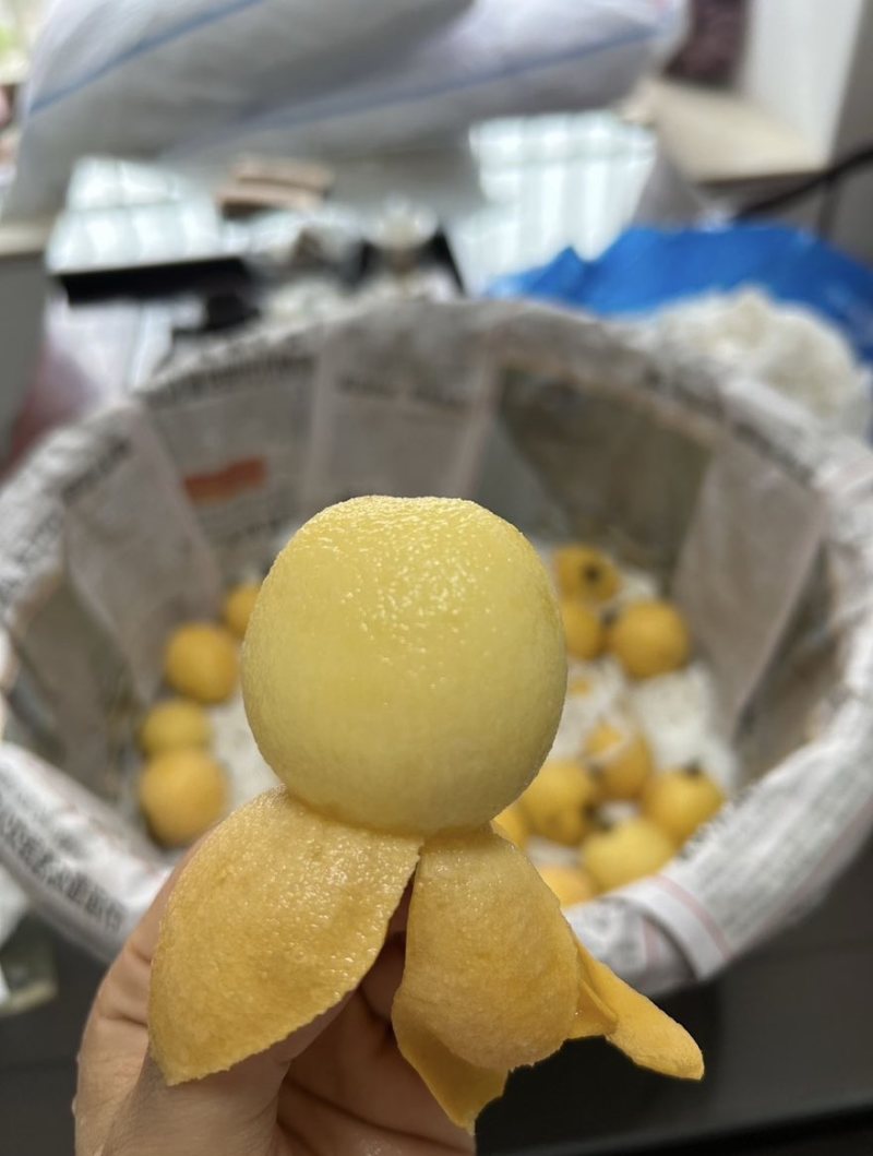 白玉枇杷
