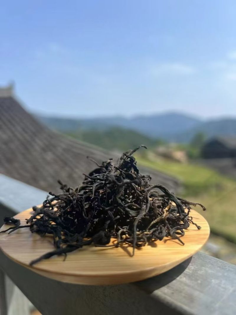龙脊古树红茶