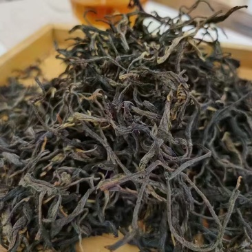 龙脊古树红茶