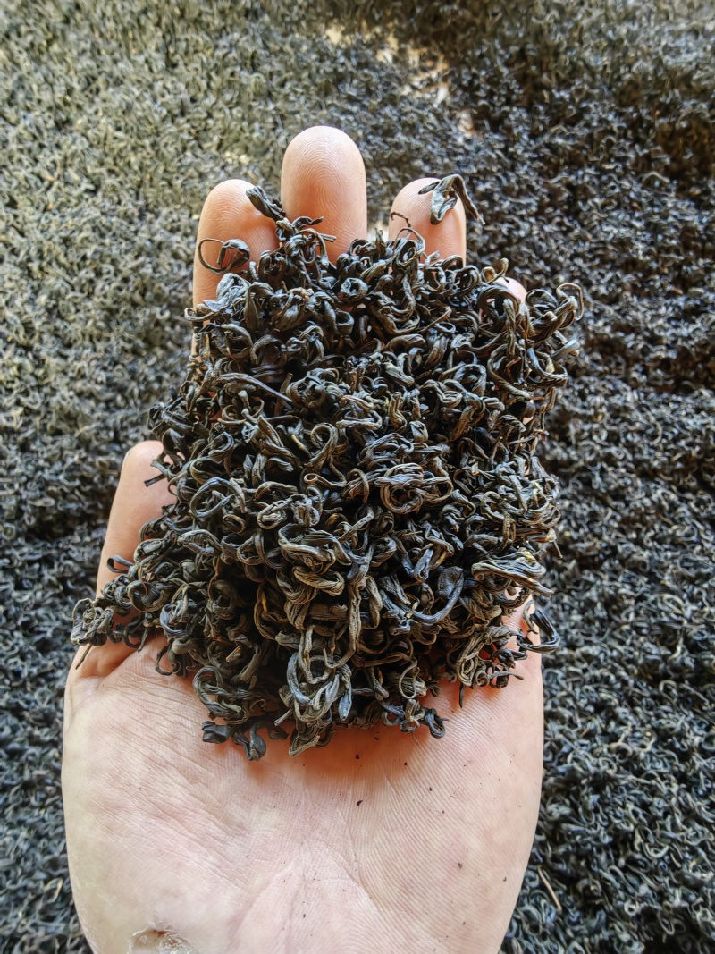 龙脊古树红茶