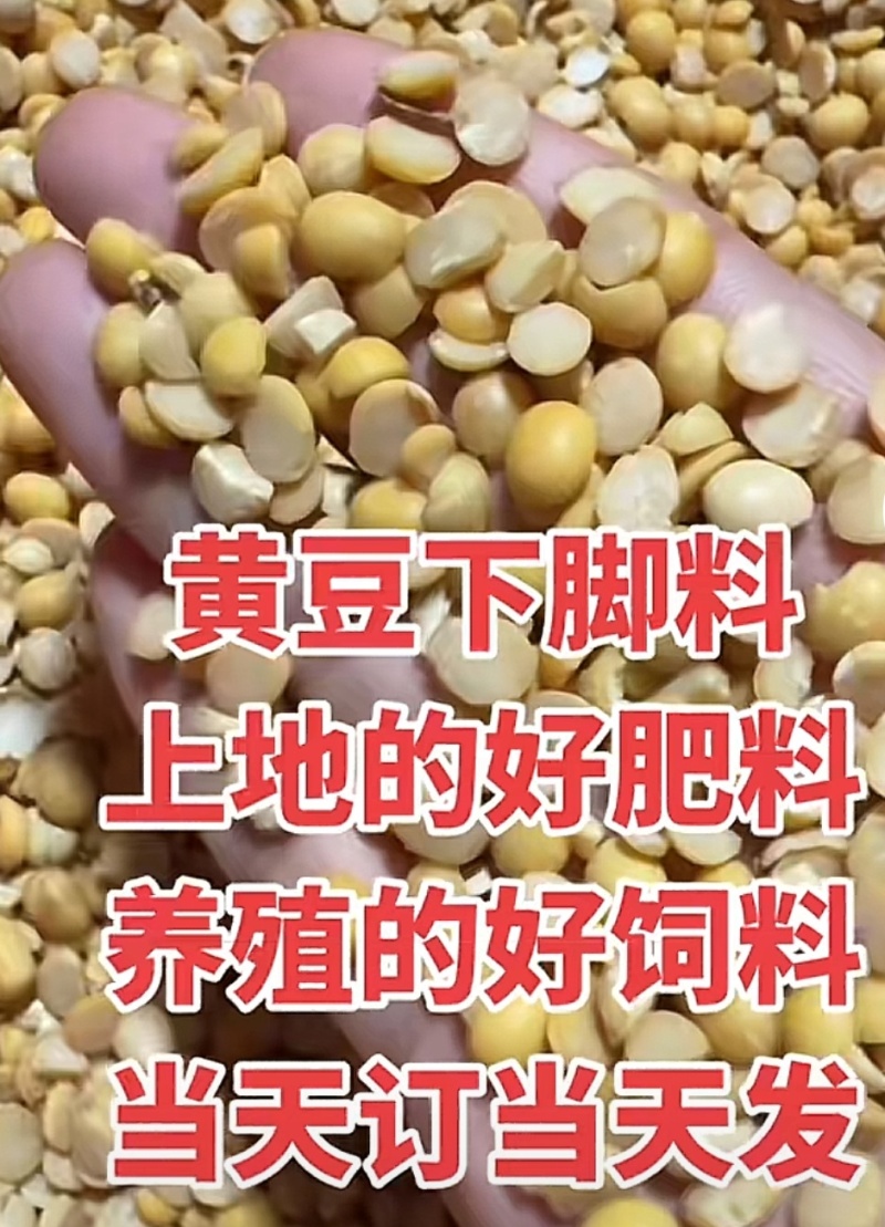 碎黄豆