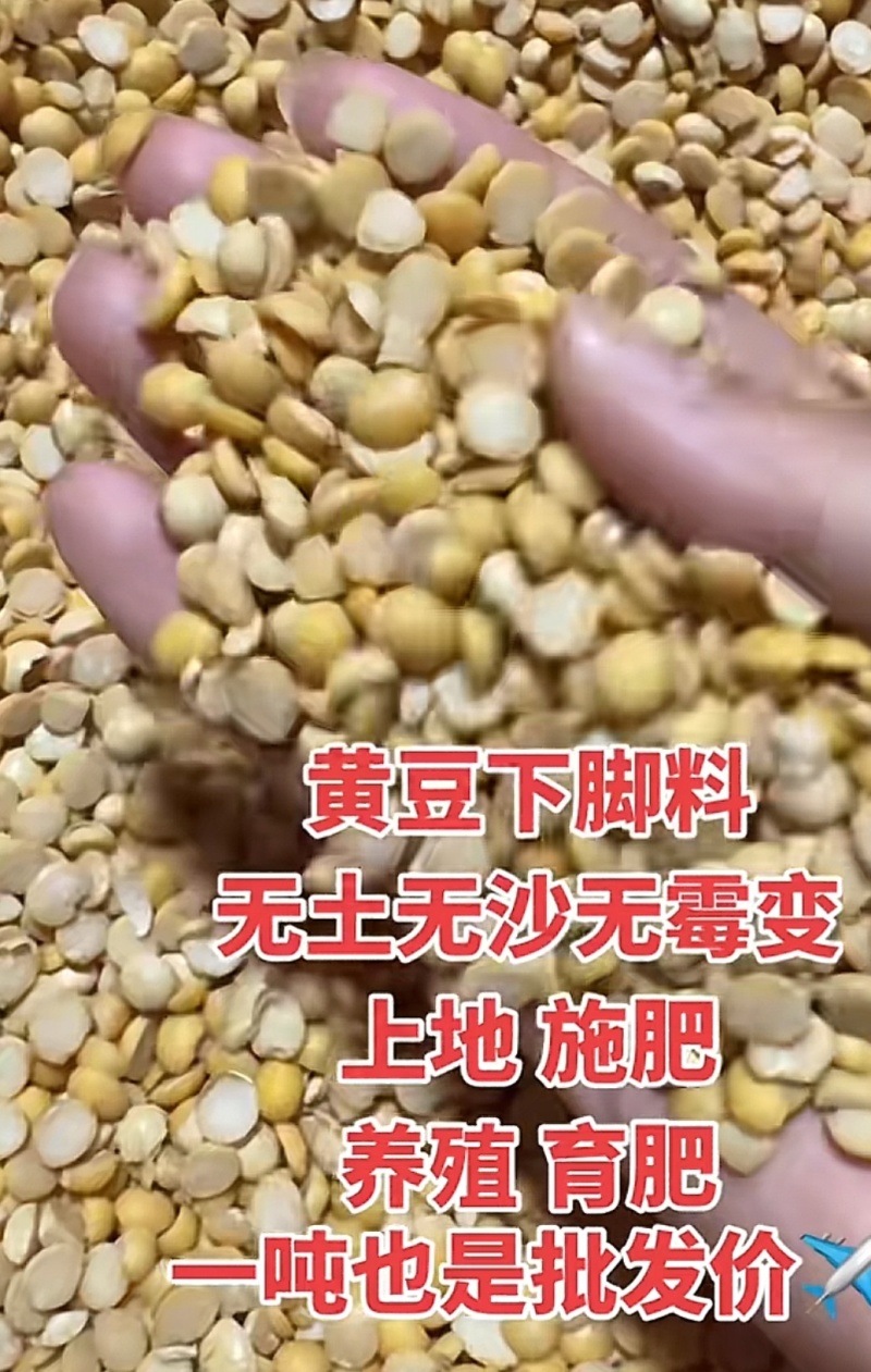 碎黄豆