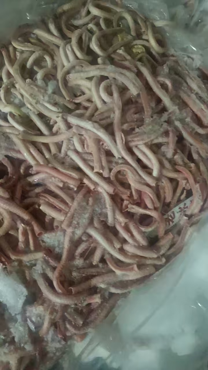 鹅气管
